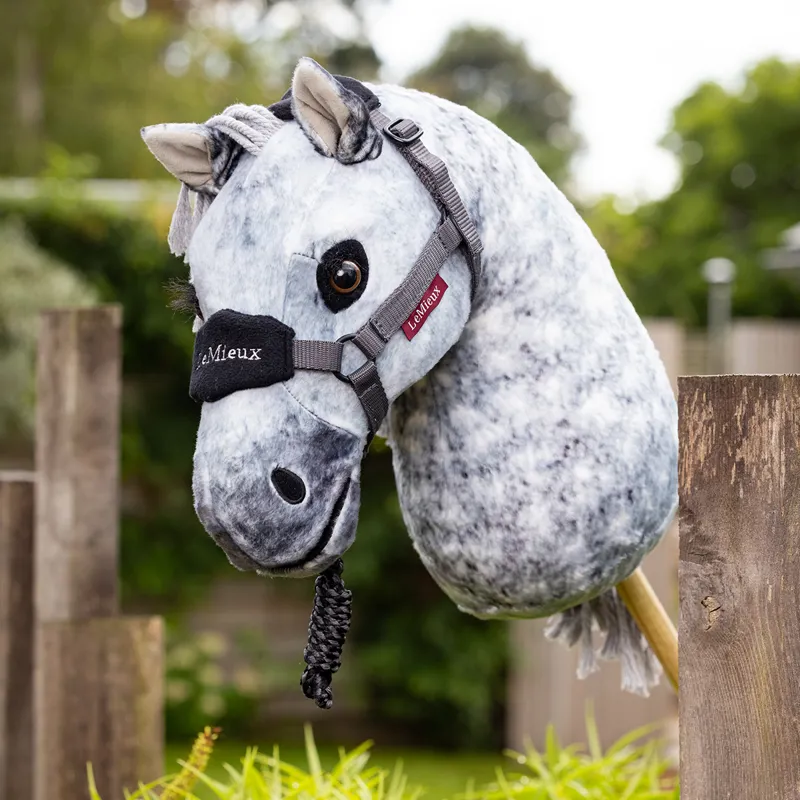 LeMieux Hobby Horse Toy - Sam-2