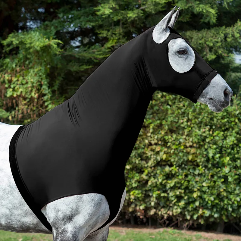 LeMieux Elastane Stretch Hood - Black