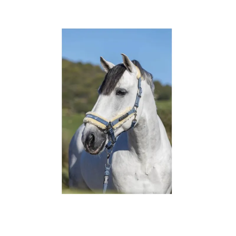LeMieux Loire Headcollar - Ice Blue-1