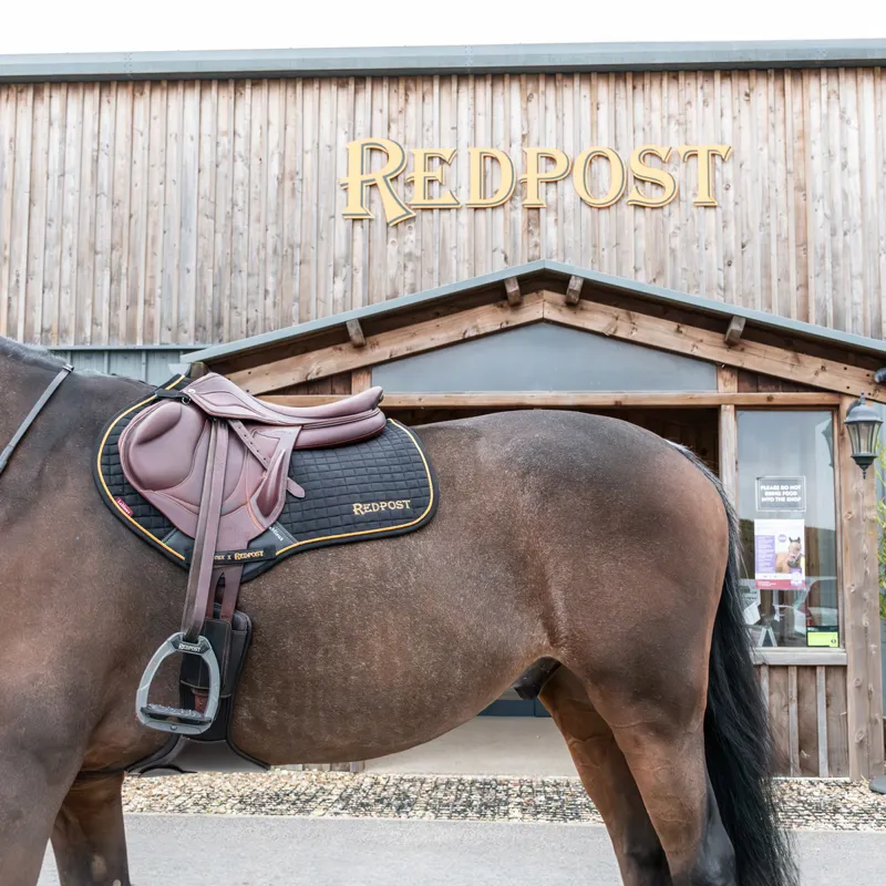 LeMieux x Redpost Suede Close Contact Saddlecloth - Black/Gold-8
