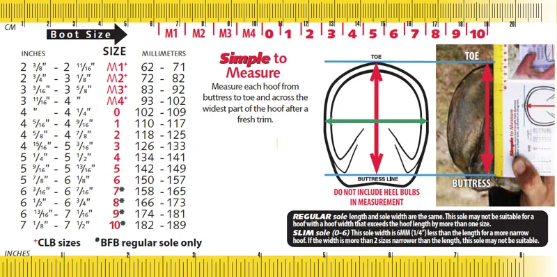 Cavallo ELB Sizing