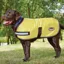 Weatherbeeta Parka Dog Coat - Fluorescent Yellow