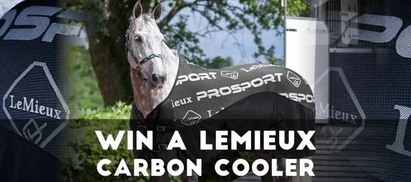 LeMieux Spend To Win LeMieux Spend To Win