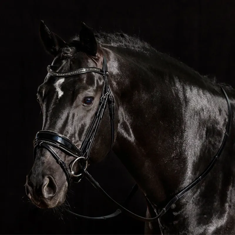 Schockemohle Stanford Glam Flash Bridle - Patent Black - TRIAL-2