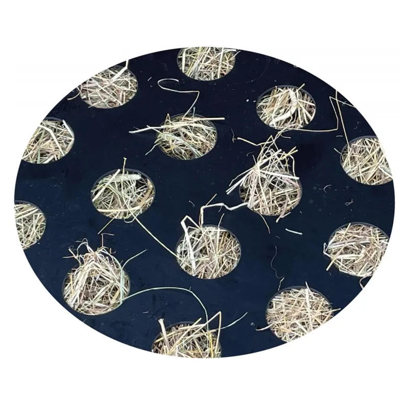 Stubbs Slo-Grazer - Blue-2