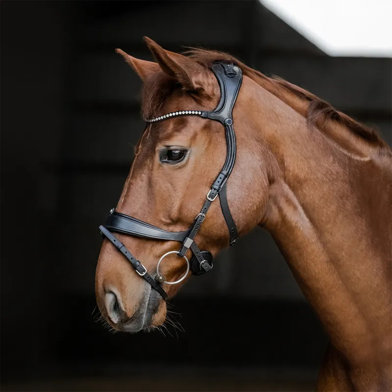 Stubben Freedom II Magic Tack Slide/Lock Snaffle Bridle - Black-1