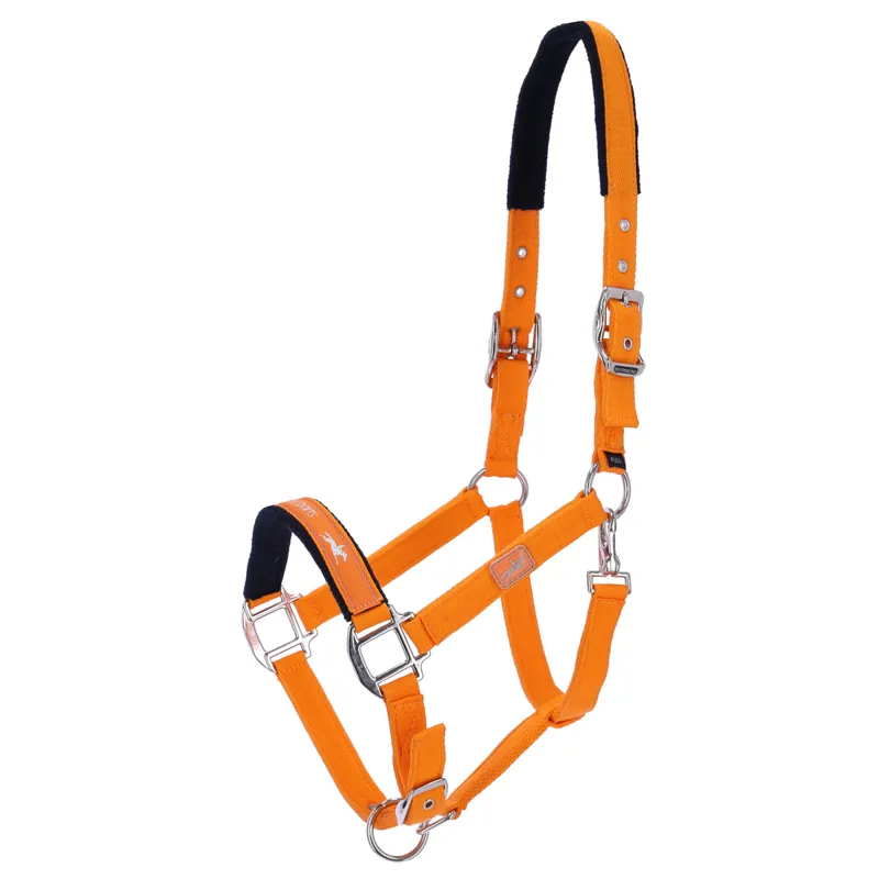 Schockemohle Memphis II Headcollar - Mandarin II