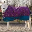StormX Original 100g Standard Neck Turnout Rug - Thelwell Pony Friends