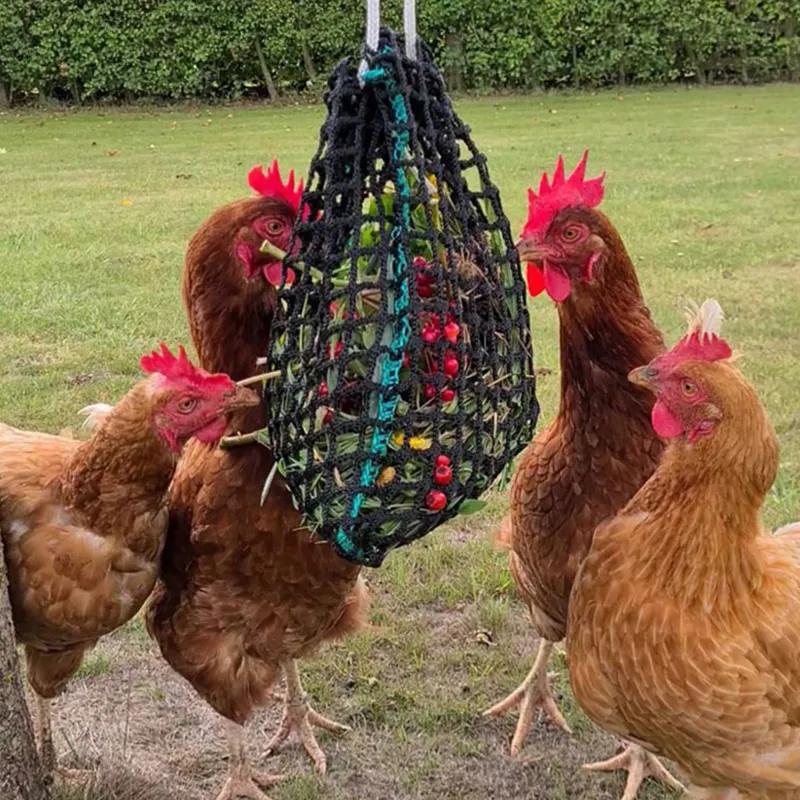 Trickle Net Chirpy Chook Meadow Net-1