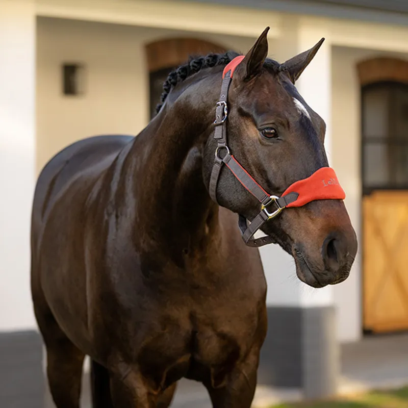 LeMieux Vogue Headcollar and Lead Rope Set - Sienna-2