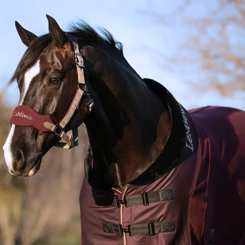 LeMieux Luxe Fleece Rug - Rioja/Black-2
