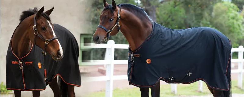 Tried Tested Horseware Rambo Ionic Stable Sheet