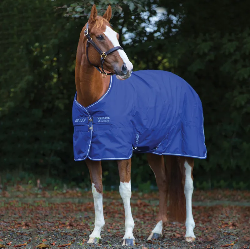 Amigo Hero 900 Lite 0g Turnout Rug - Atlantic Blue/Ivory