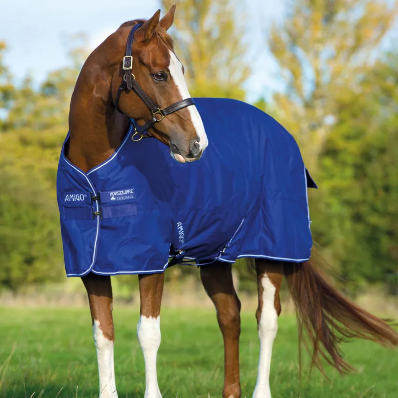 Amigo Hero 900 Lite 0g Turnout Rug - Atlantic Blue/Ivory-1