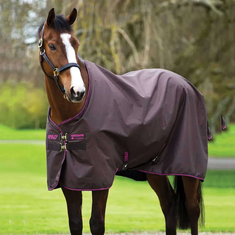 Amigo Hero 900 Lite 50g Turnout Rug Chocolate/Raspberry
