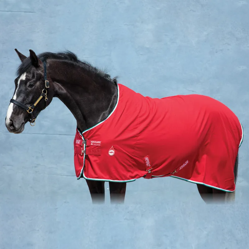 Брачные игры лошадей. Колокольчик для животных. Лошади фералы. Колокольчик лошадь. Прикол хетаг.