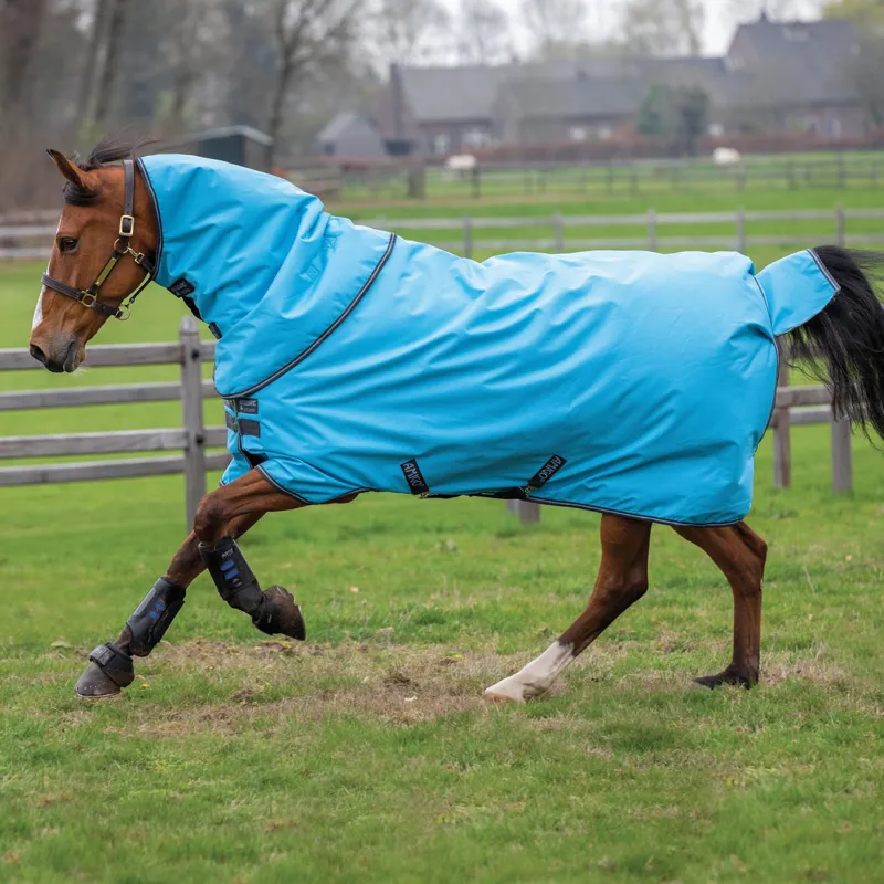 Amigo Hero 900 Plus 200g Turnout Rug - Capri/Gunmetal/Bluebell