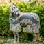 Amigo Camofly Plus Detach-A-Neck Fly Rug - CamoFly Print/Lime