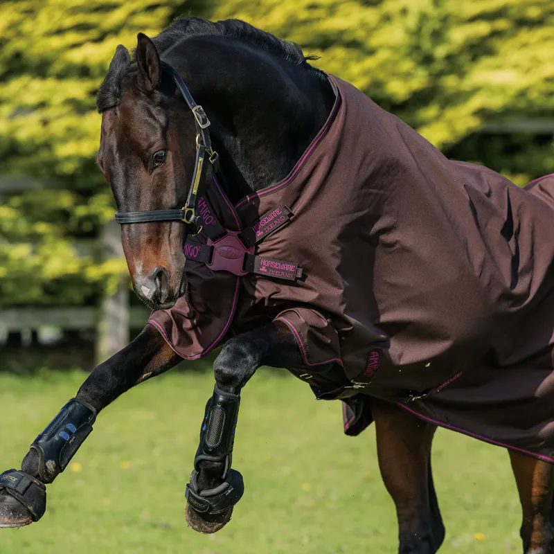Amigo Hero 900 Lite 50g Disc Front Turnout Rug - Choc/Raspberry