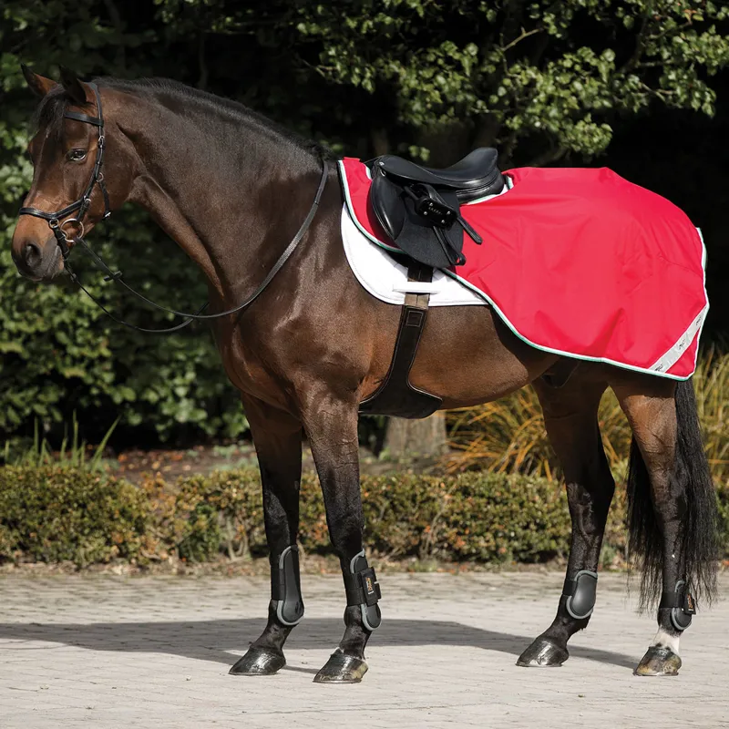 Amigo Competition Exercise Sheet Fleece Lining - Red/White/Green/Black