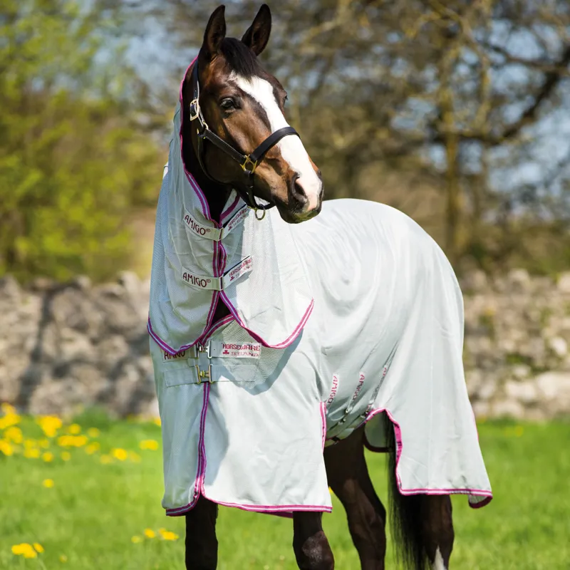 Amigo Bug Buster Vamoose Fly Rug - Silver/Purple/Mint