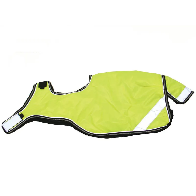 Amigo Reflective Competition Exercise Sheet - Reflective Yellow-1