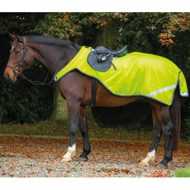 Amigo Reflective Competition Exercise Sheet Reflective Yellow