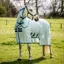 Amigo Bug Buster Fly Rug - Azure Blue/Navy/Electric Blue