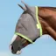 Amigo Fly Mask With Ears - Silver/Lime