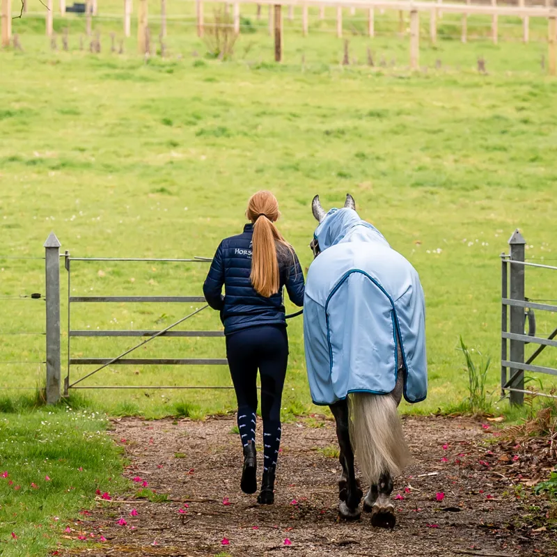 Amigo Ripstop Hoody Combo Neck Fly Rug - Azure Blue/Navy/Electric Blue-1