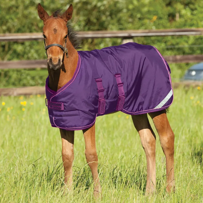 Amigo Foal Stable/Turnout Rug 200g - Berry with Navy/Fuchsia