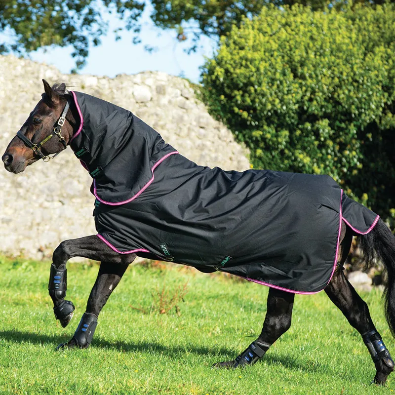 Amigo Hero 6 Plus 200g Medium Turnout Rug - Black/Purple/Mint