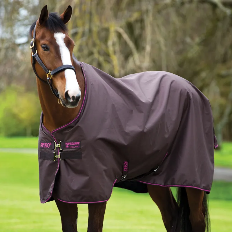 Amigo Hero 6 50g Light Weight Turnout Rug - Chocolate/Raspberry