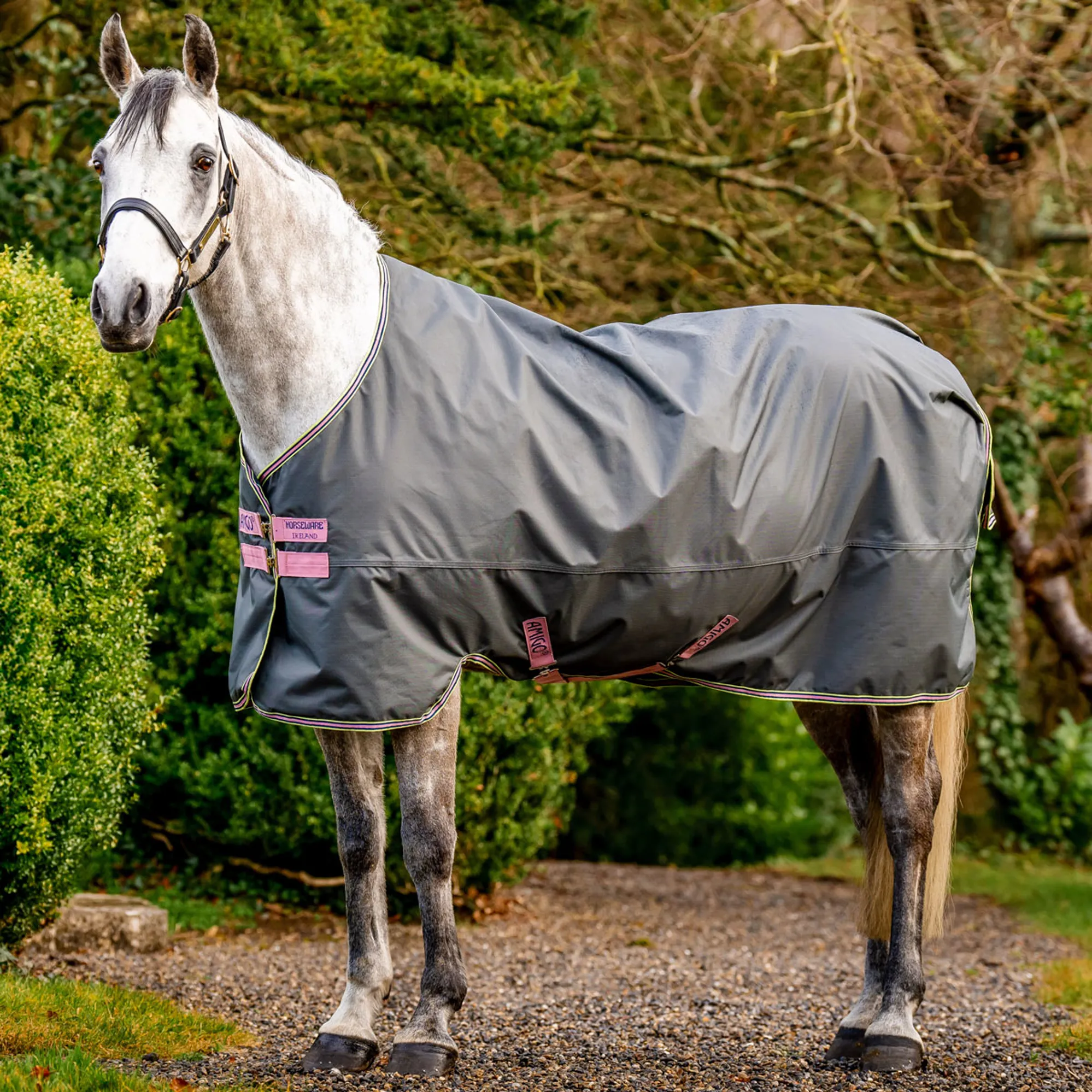 Amigo Hero 600D with Ripstop 0g Turnout Rug - Shadow/Rose/Navy