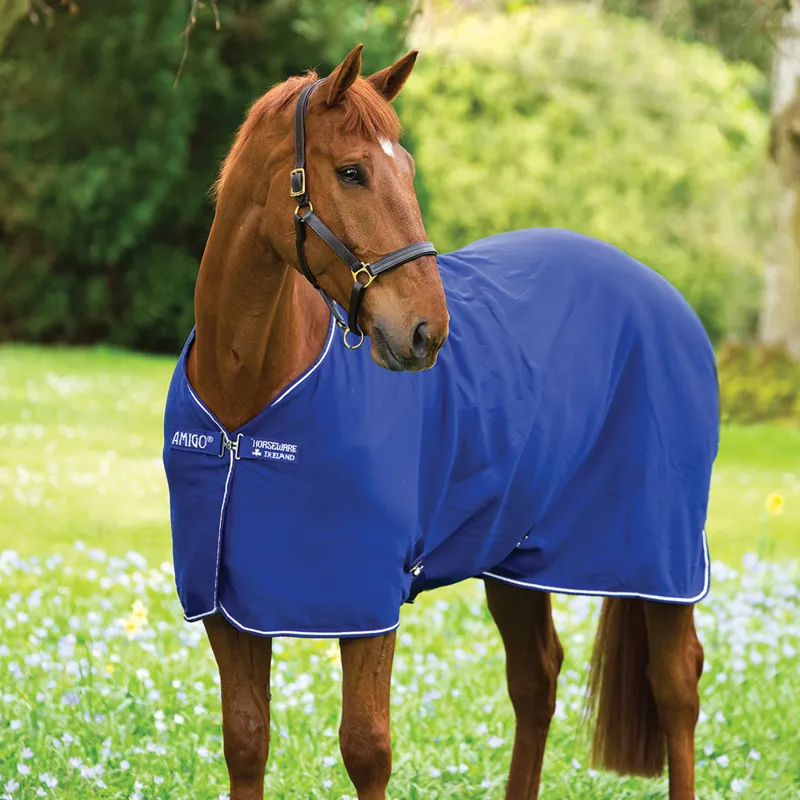 Amigo Jersey Cooler Rug Atlantic Blue/Ivory