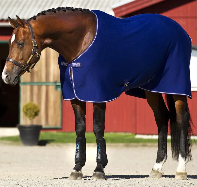 Amigo Jersey Cooler Pony Rug Atlantic Blue/Ivory