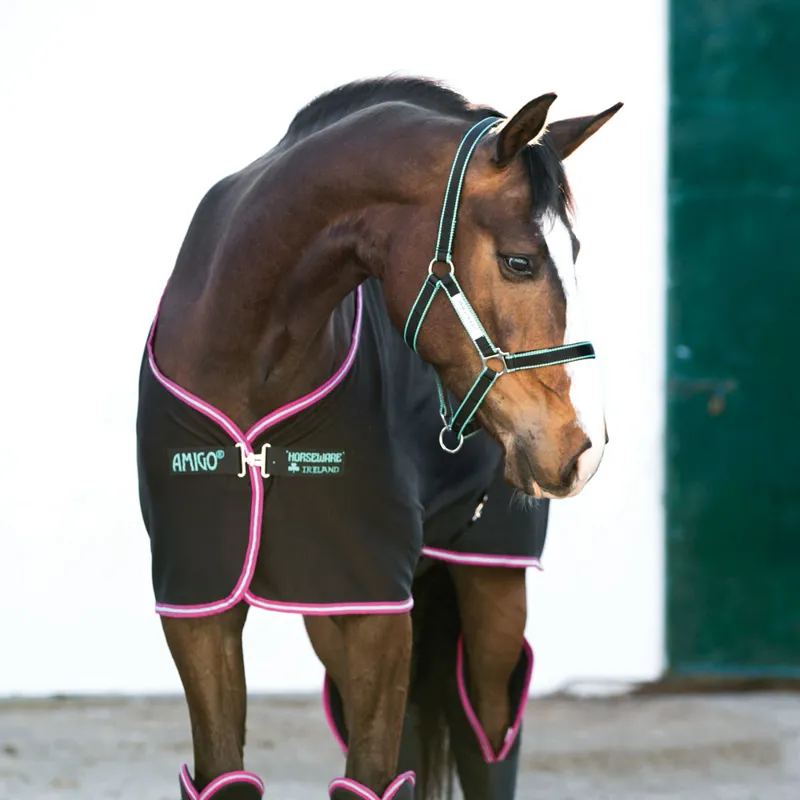 Amigo Jersey Cooler Rug - Black/Purple/Mint