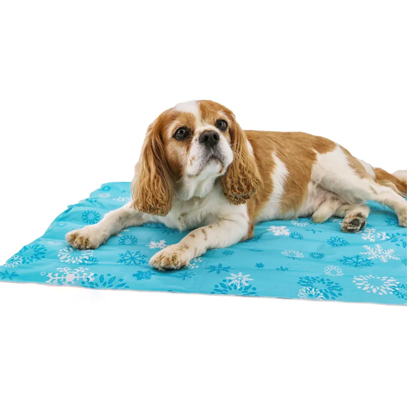 Ancol Pet Cooling Mat