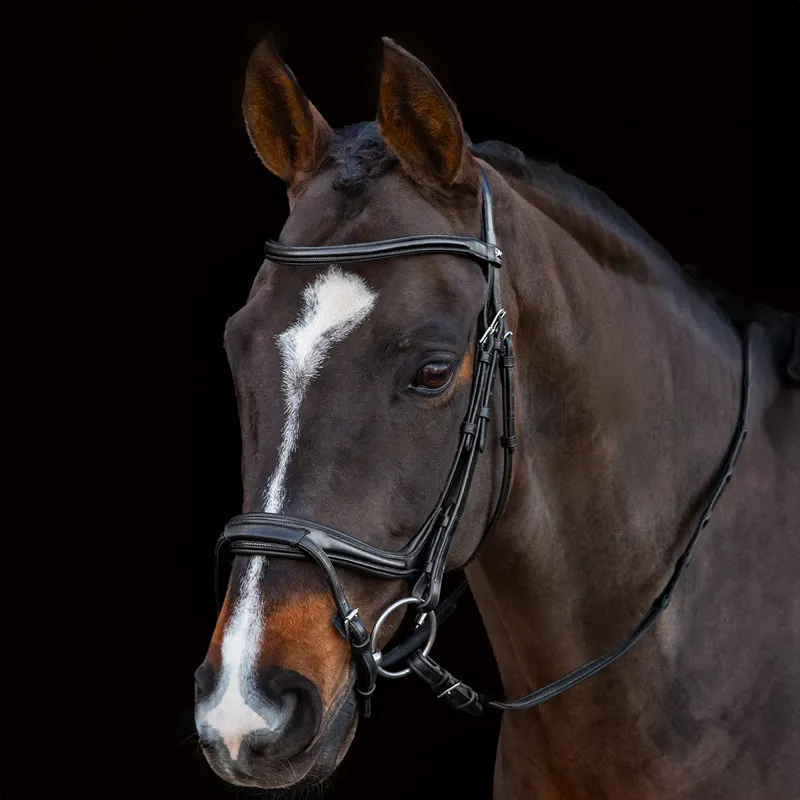 Schockemohle Ancona Select Bridle - Black/Silver-2