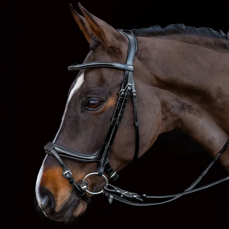 Schockemohle Ancona Select Bridle - Black/Silver-1