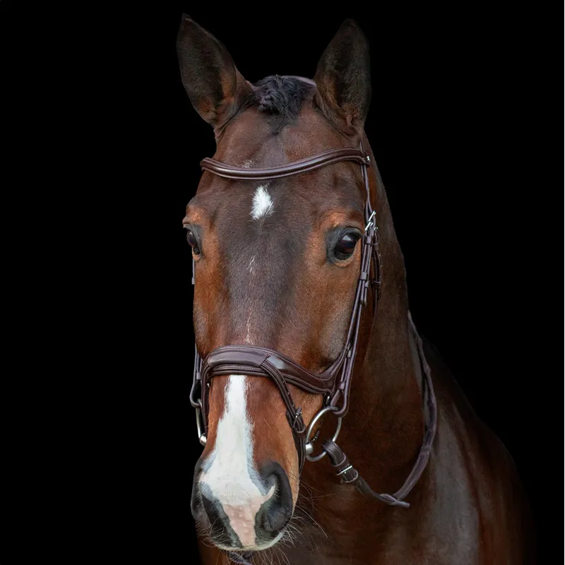 Schockemohle Ancona Select Bridle - Espresso/Silver-3