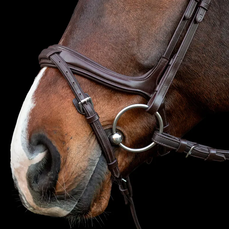 Schockemohle Ancona Select Bridle - Espresso/Silver-2