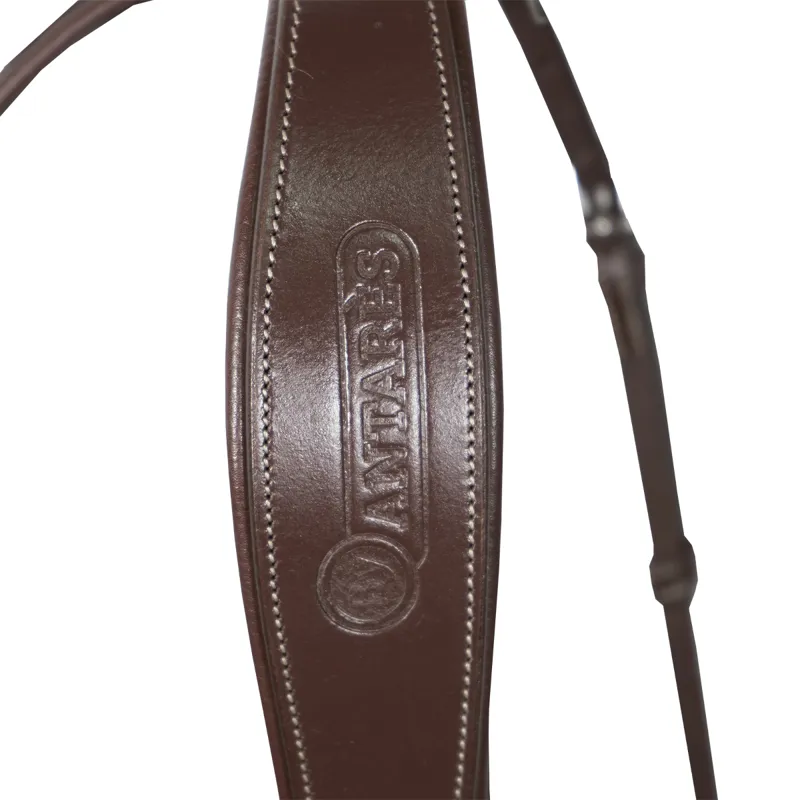Antares Signature Flash Noseband Bridle - Brown-1