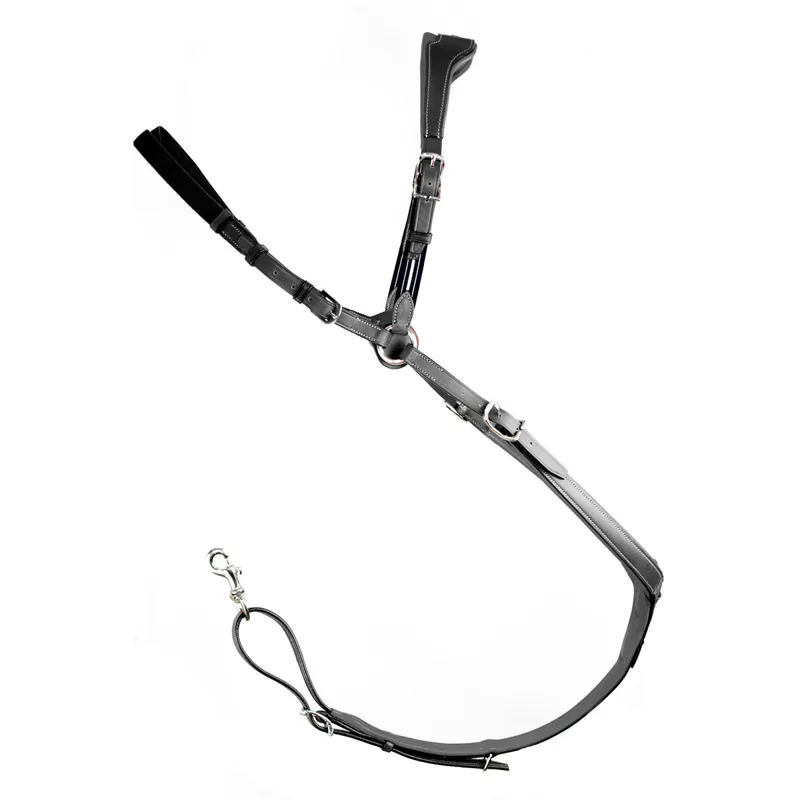 Antares Sellier France Horse Bridles Martingales Reins