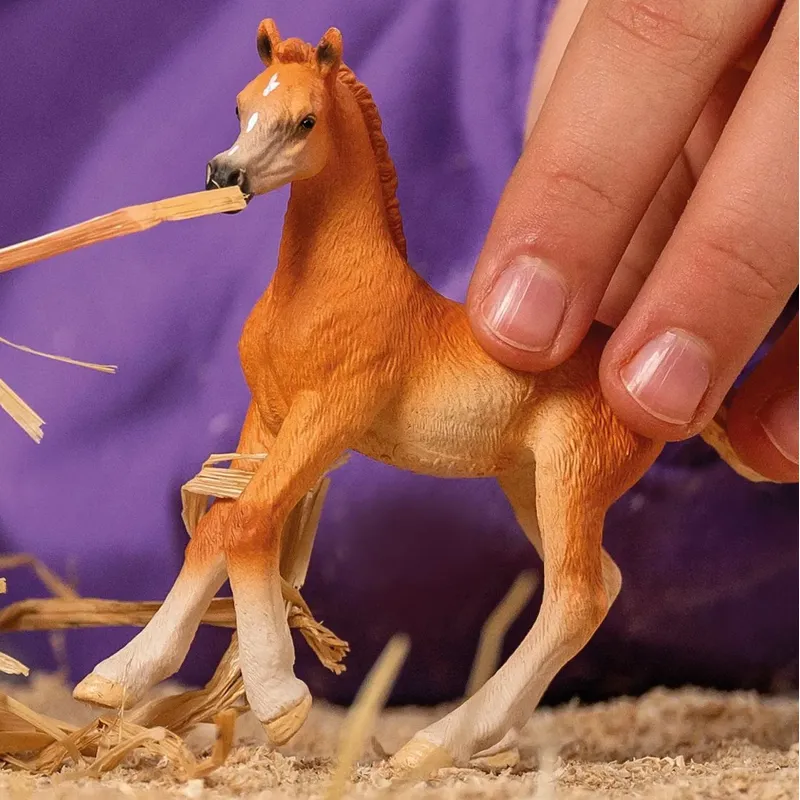 Schleich Arabian Foal Horse Toy-1
