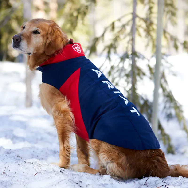 Ariat Team Softshell Dog Coat - Navy-1