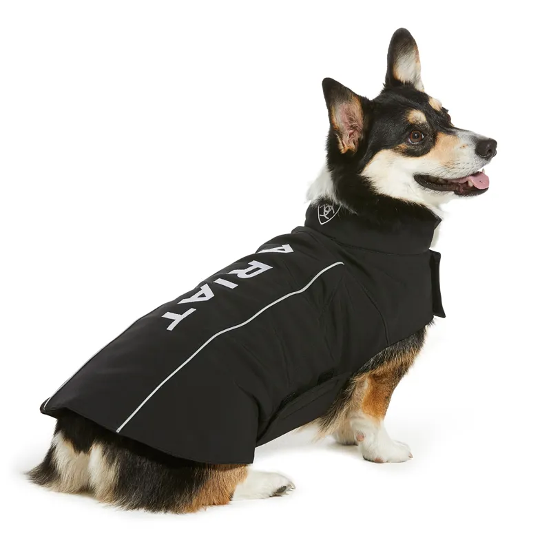 Ariat Team Softshell Dog Coat - Black-1