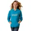 Ariat 3D Logo 2.0 Junior Hoodie - Mosaic Blue
