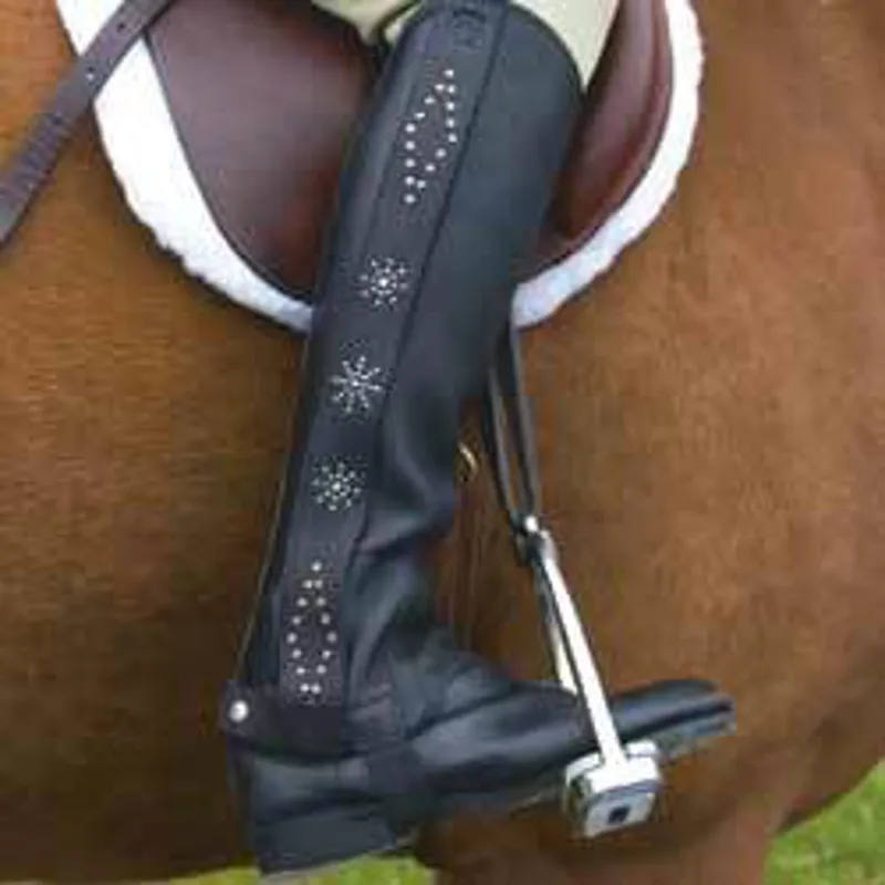 Ariat Cameo Chap Changer Strip - Various Designs-1