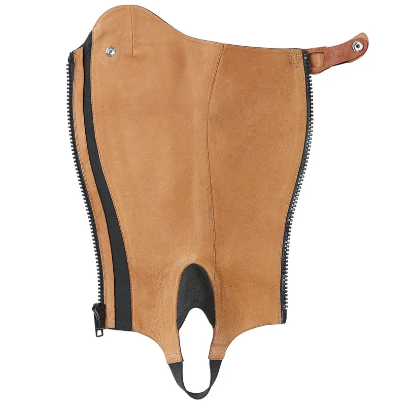 ariat covington chaps